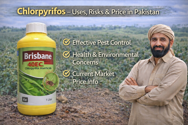 Chlorpyrifos – Uses, Risks and Price in Pakistan