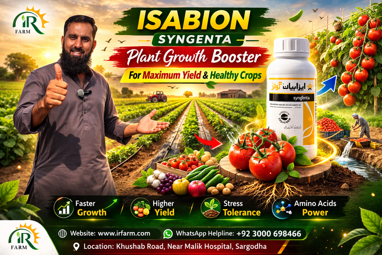 Isabion Syngenta: The Ultimate Plant Growth Booster