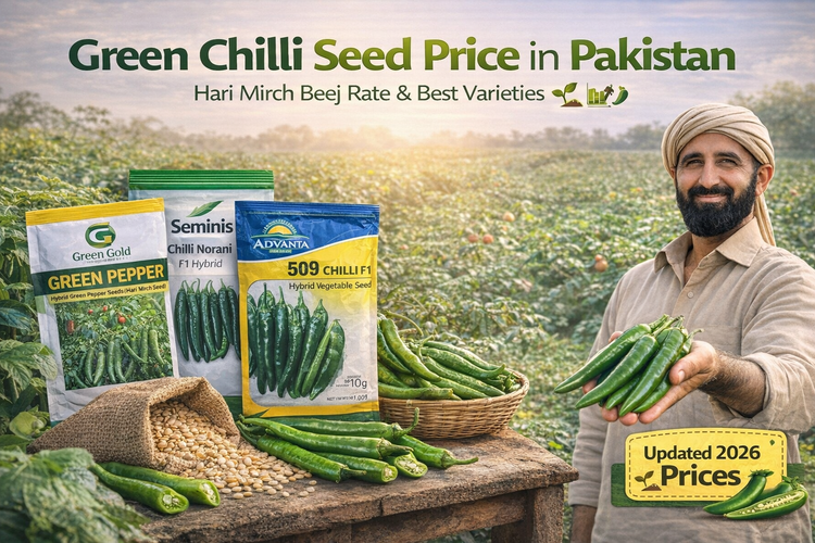 Green Chilli Seed Price in Pakistan – Hari Mirch Beej Rate &amp; Best Varieties