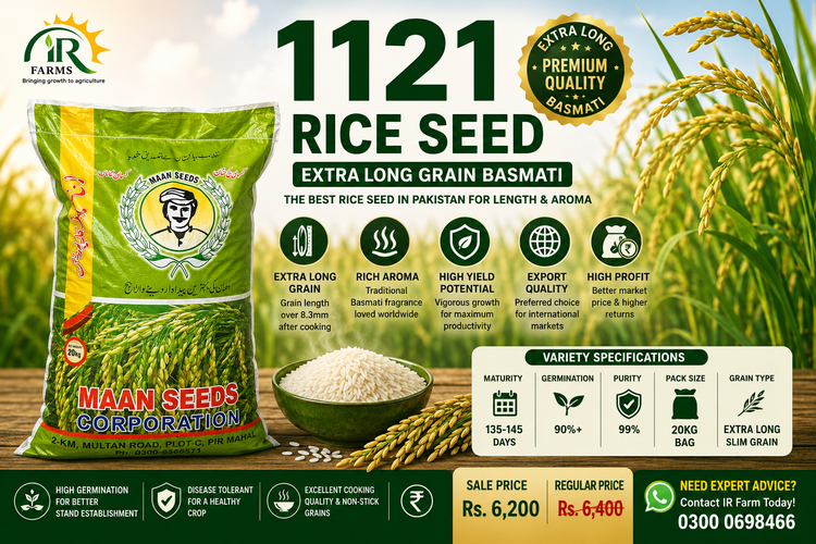 Kainat 1121 Rice Seed 20kg