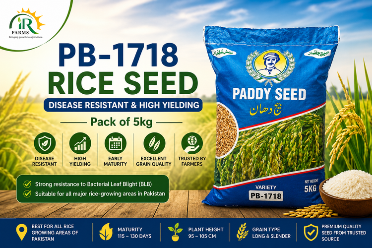 PB-1718 Paddy/Rice Seed 5kg in Pakistan – Uses, Benefits & Price in Pakistan