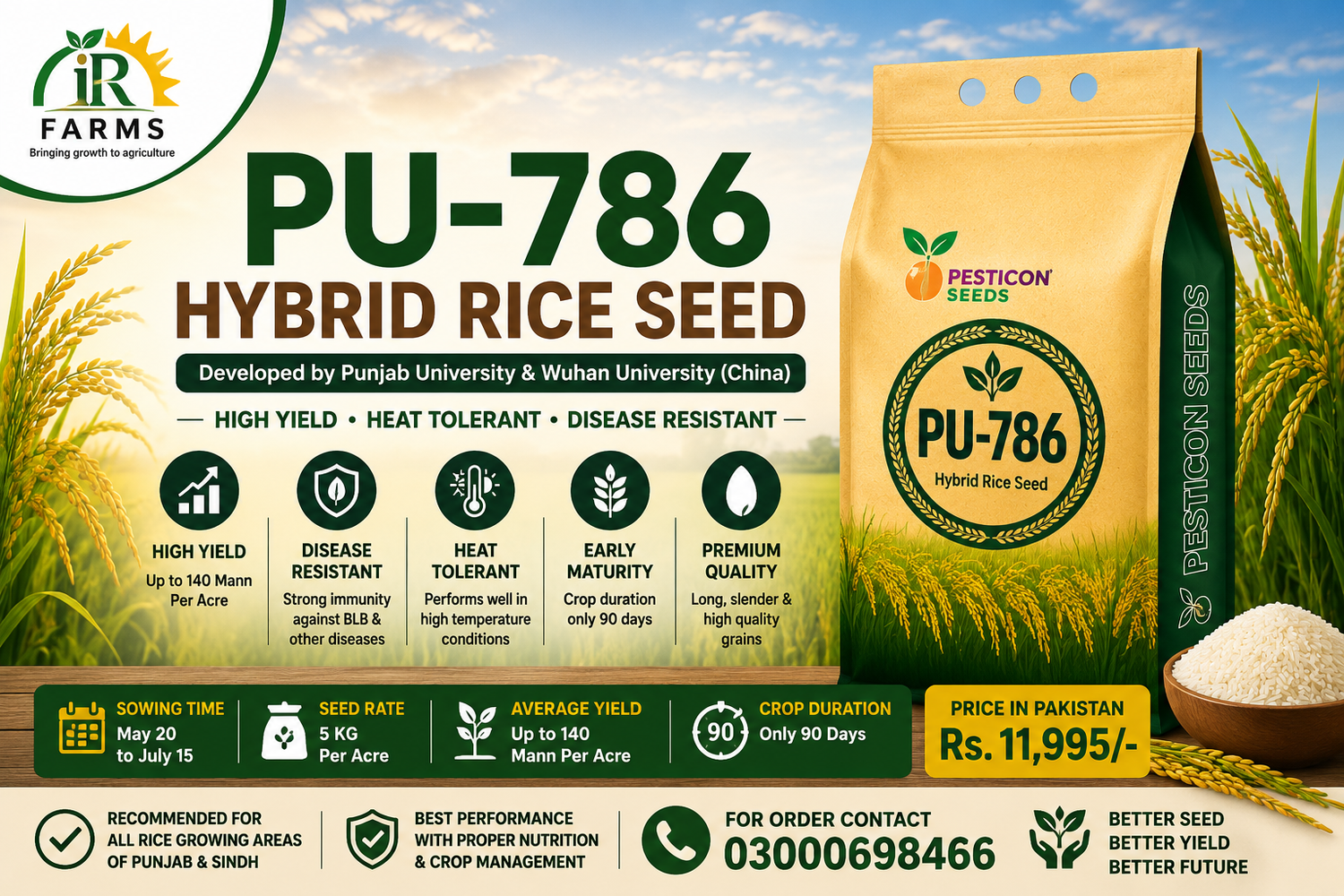 PU-786 5KG Hybrid Rice Seed