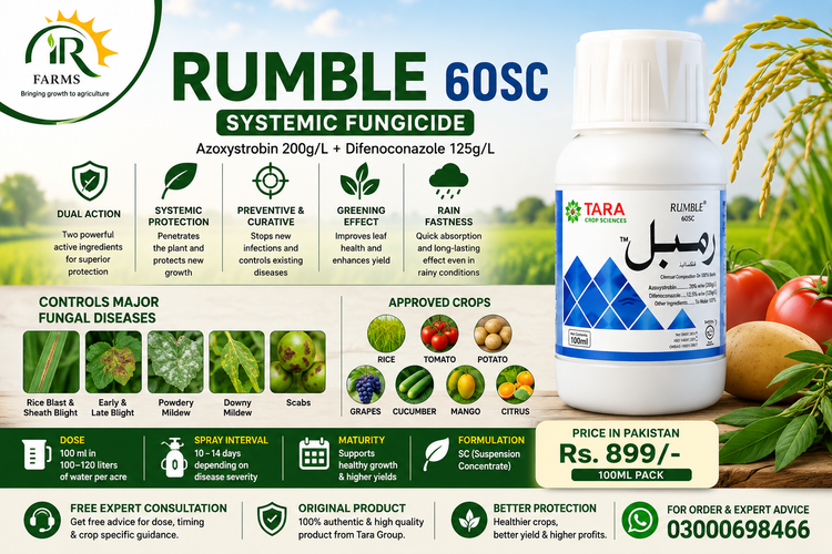 Rumble 60SC Fungicide 100ML