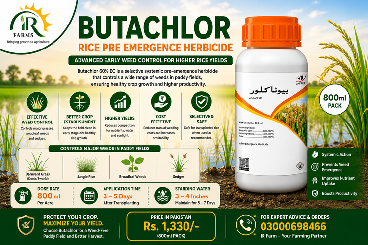 Butachlor Rice Pre Emergence Herbicide 800ml