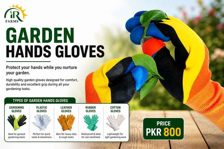 Garden Hands Gloves – Types, Uses &amp; Price in Pakistan