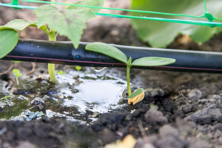 Cheapest Irrigation Setup for Small Farms — Cost Breakdown