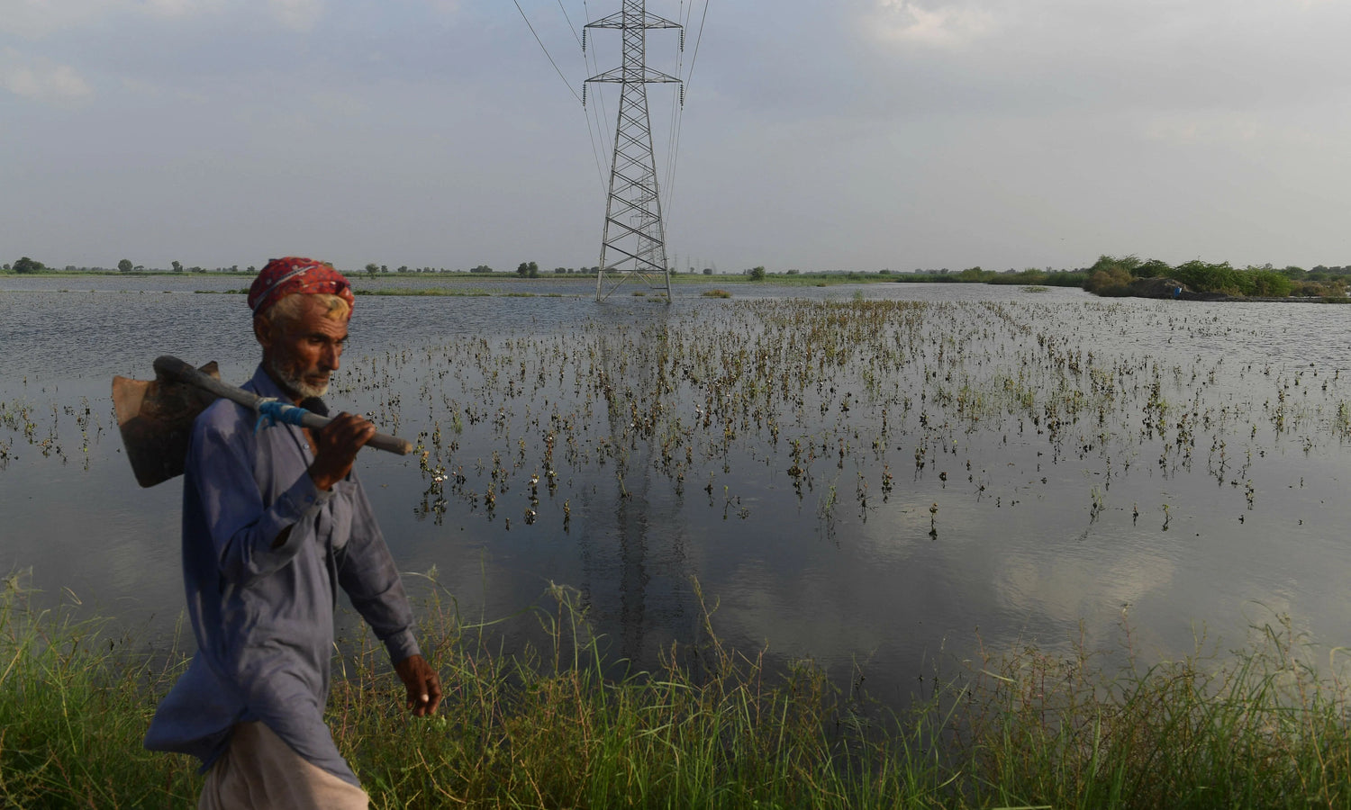 Pakistan’s Agriculture and Climate Change: A Nation at the Crossroads