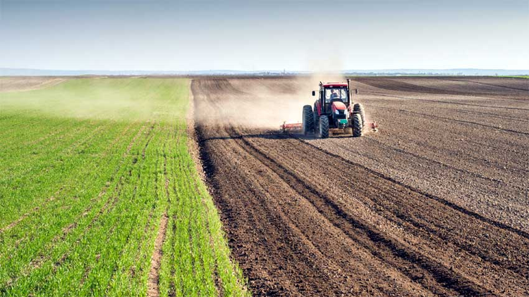 Pakistan Agriculture Budget 2025: Big Numbers, Small Impact