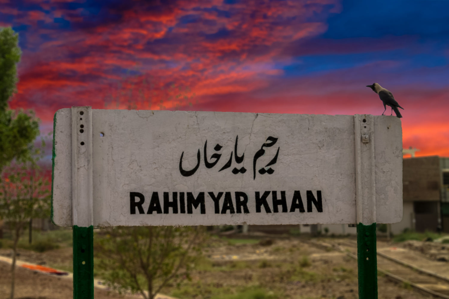 Rahim Yar Khan Agricultural Market Prices – Grains, Vegetables, and Fruits