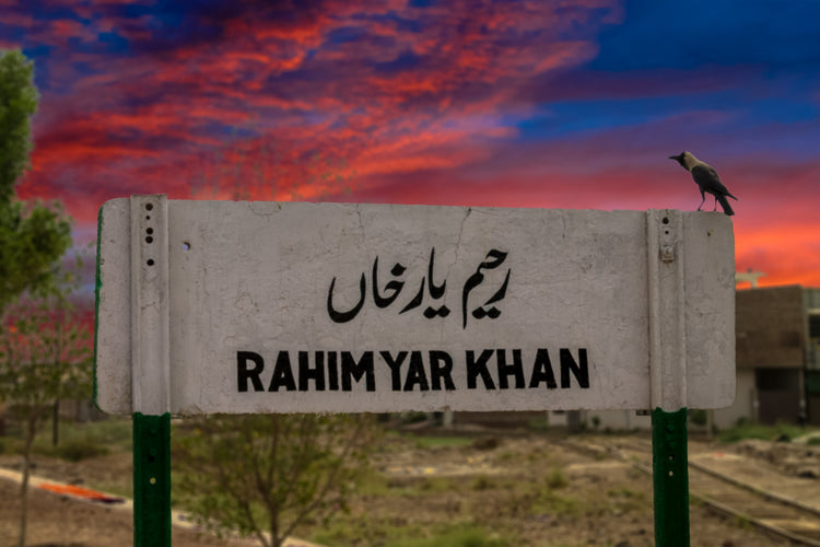 Rahim Yar Khan Agricultural Market Prices – Grains, Vegetables, and Fruits