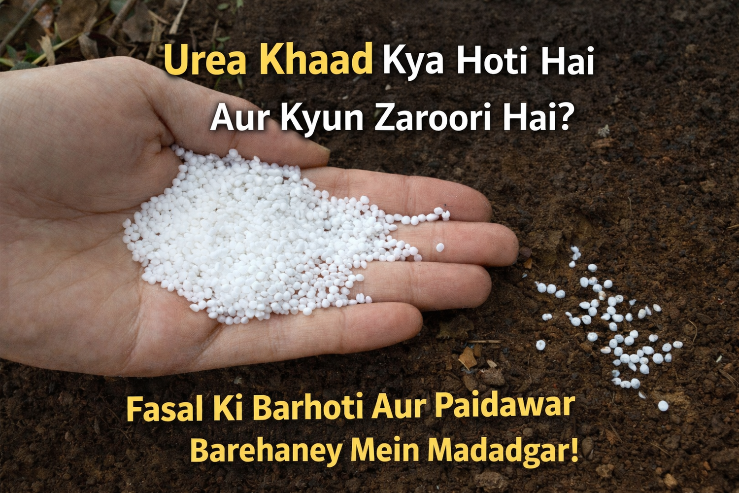 Urea Fertilizer Price in Pakistan — Daily Rate Update &amp; Market Comparison