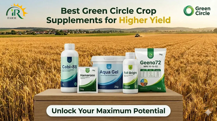 green circle products