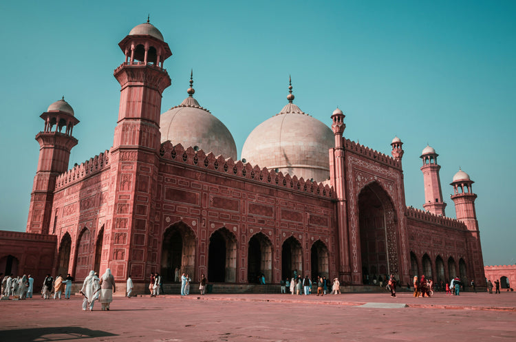 Lahore Agricultural Prices | Grains, Vegetables & Fruits – irfarm