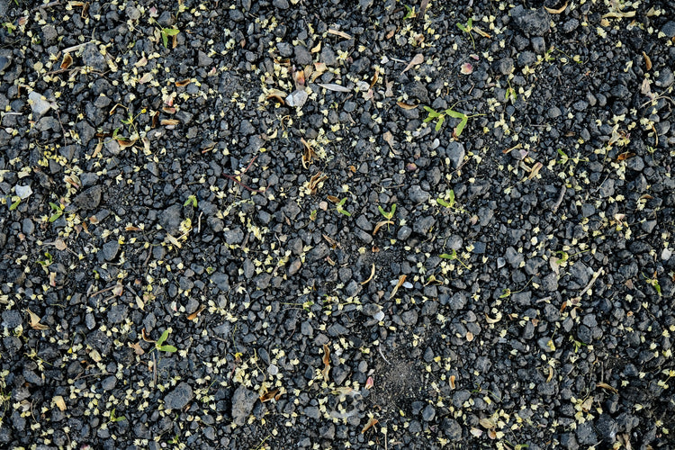 What Is Nitrophos Fertilizer and What Is Its Price in Pakistan?