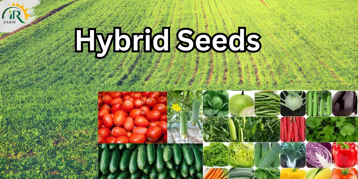 Premium Hybrid Seeds in Pakistan – High Yield Vegetable & Field Crop ...