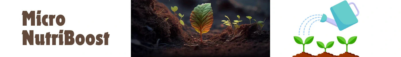 micro nutrients and micronutriboost 