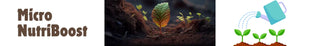 micro nutrients and micronutriboost 