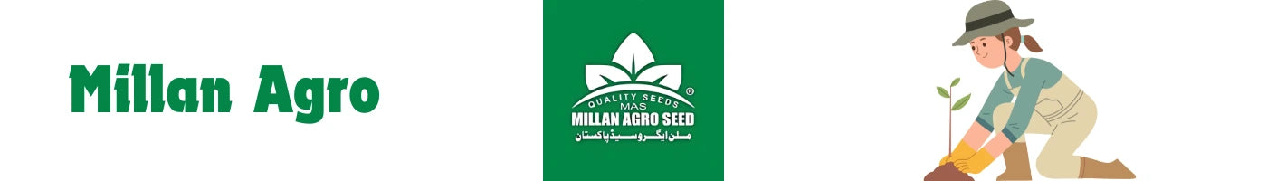 Millan Agro Seed