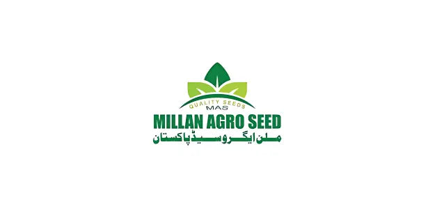 Millan Agro Seeds – premium hybrid and open-pollinated seeds for farmers in Pakistan