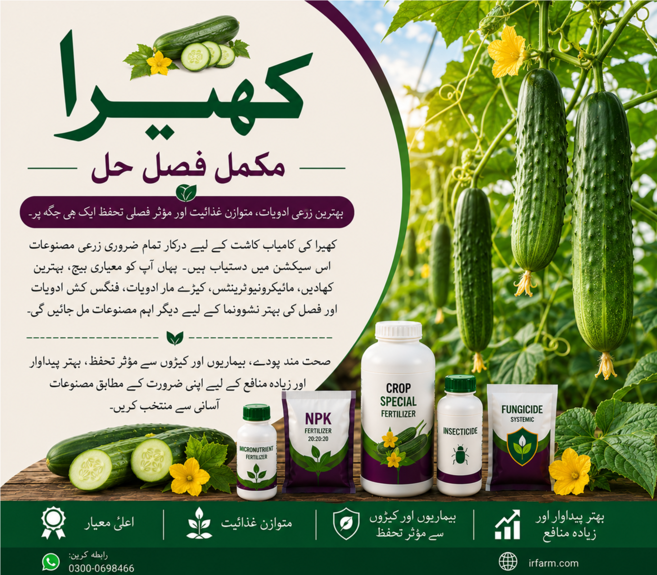 cucumber solution