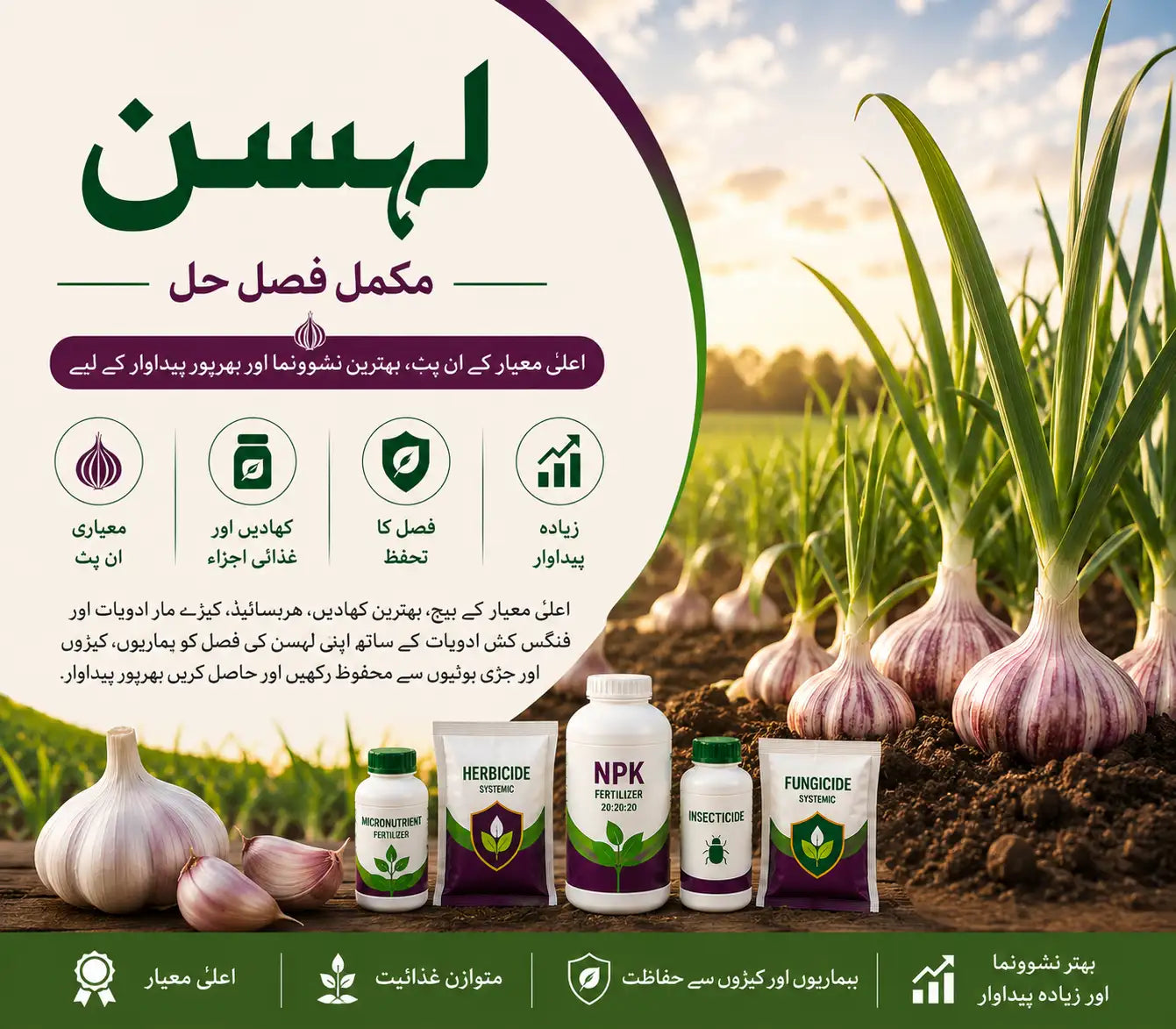 garlic banner