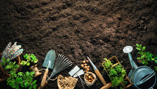 Kitchen gardening