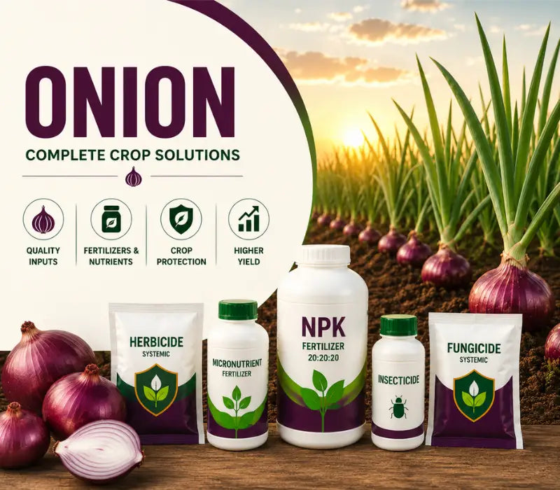 Onion