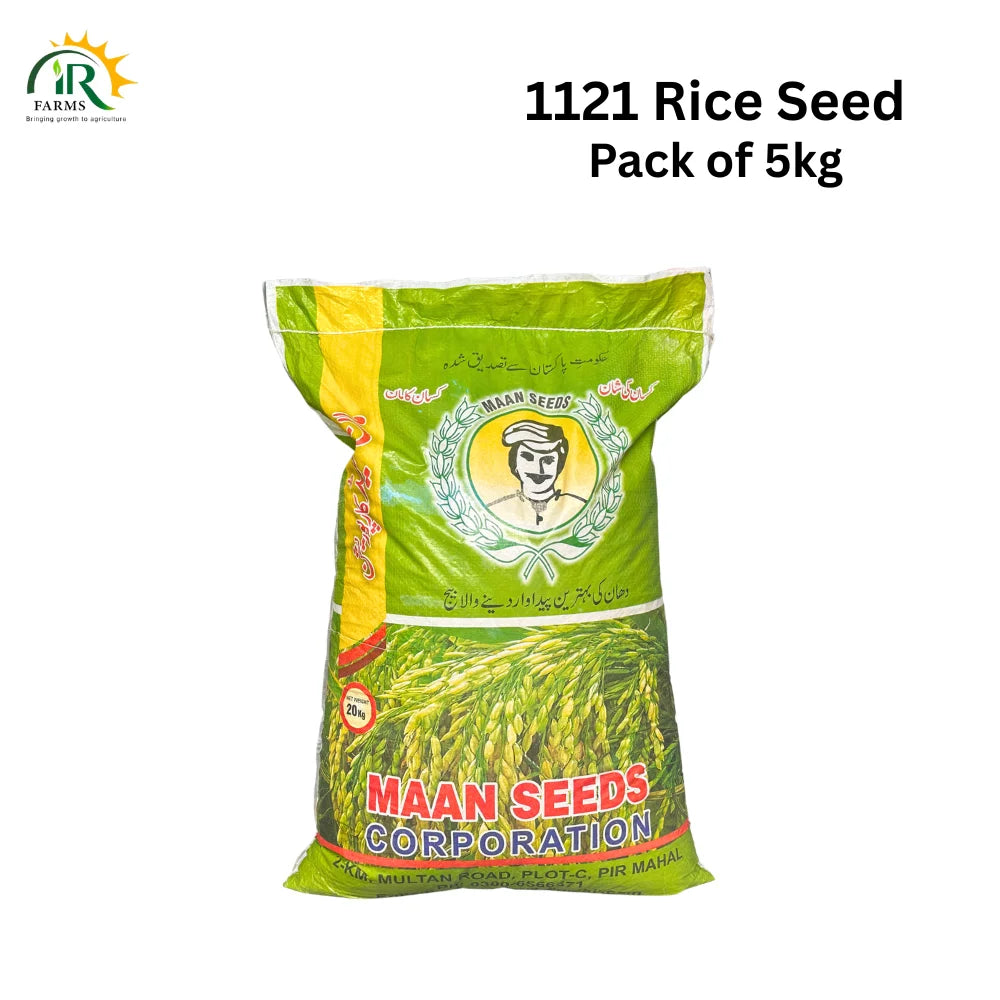 1121 Rice Seed 5kg paddy seed