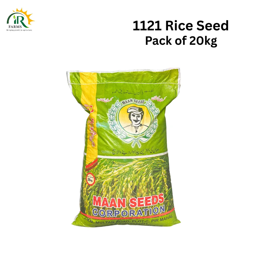 1121 Rice Seed paddy seed 20kg pack