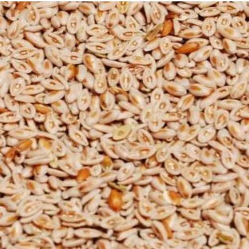 Ispagol Seeds 500g Origion Indian 3kg To 4kg For 1 Acre Blond Psyllium, Spogel Seeds, Scientific Name: Plantago Ovata Forsk IR Farm