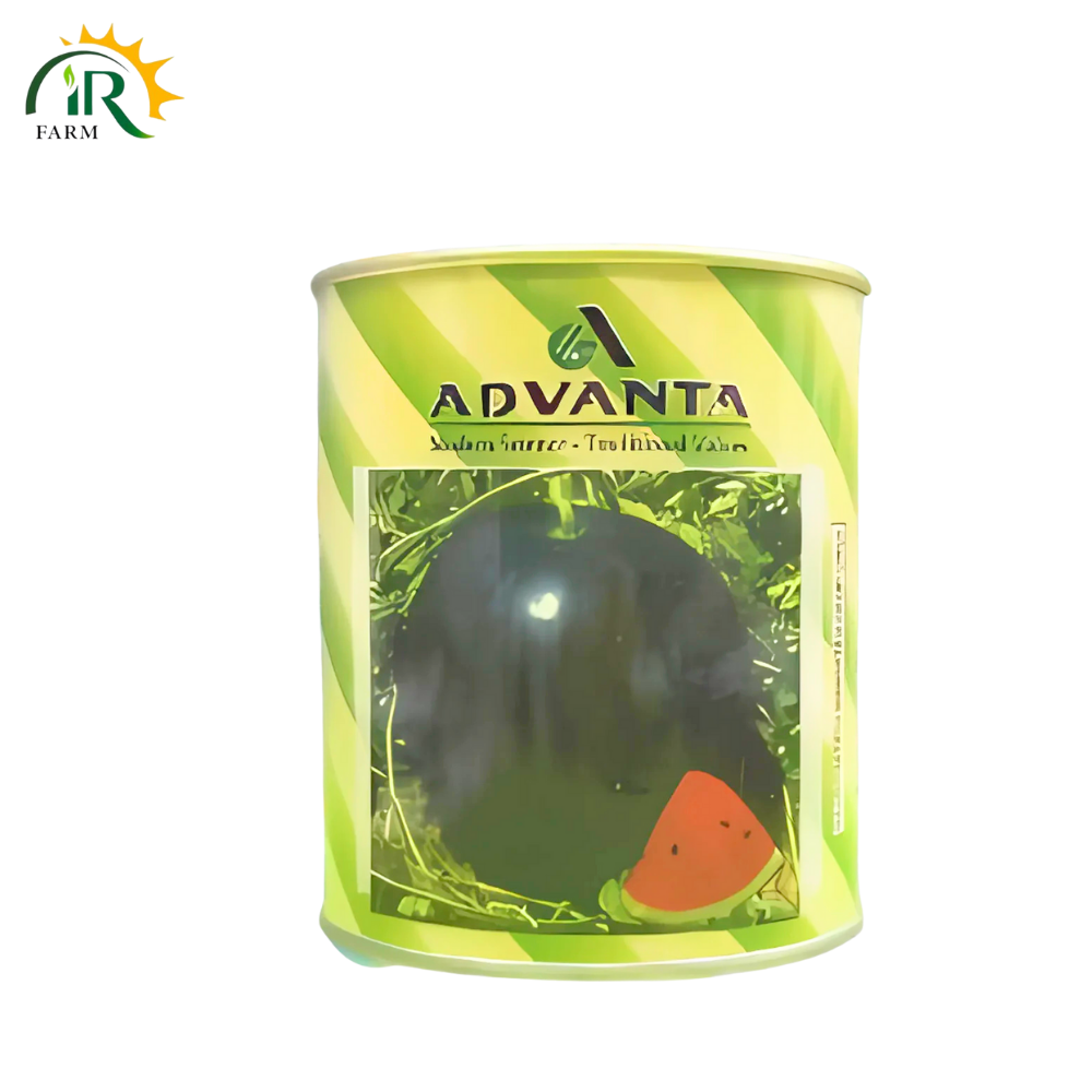 1401 Advanta F1 Hybrid Watermelon Seeds – 50gm | ICI Pakistan LCI | Red Flesh High Yield Tarbooz