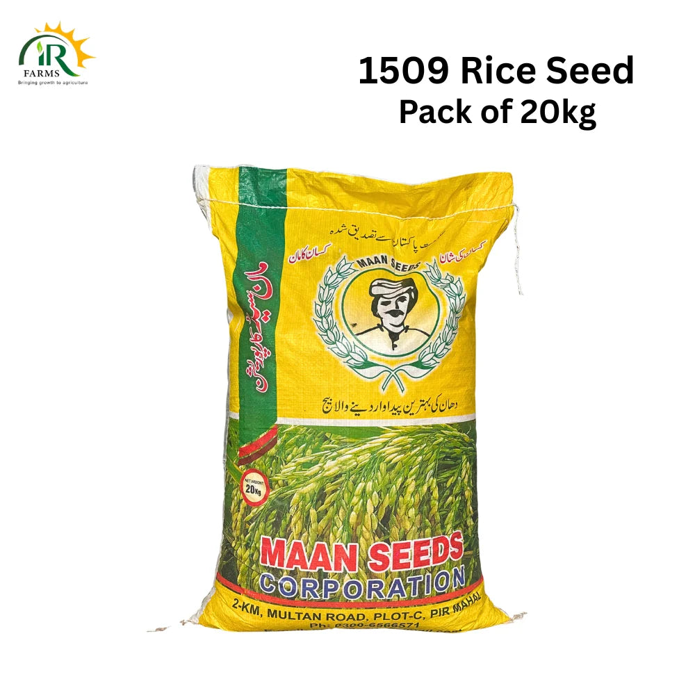 1509 Rice Seed 20kg