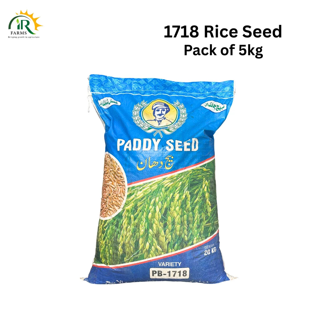 PB-1718 Paddy Seed 5kg (Part of 20kg Bag)