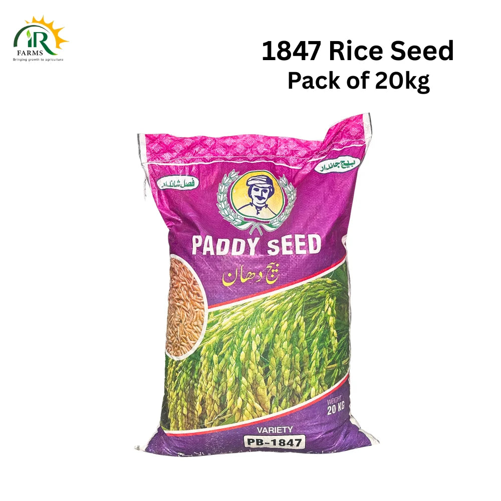 PB-1847 Paddy Seed 20kg