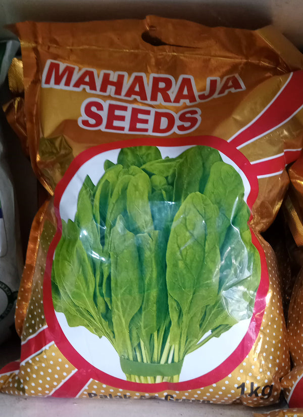 Mahraja Seeds Palak Green Seeds - Premium Quality 1kg Pack for Lush, Nutritious Spinach Growth - Ideal for Home Gardens and Professional Cultivation IR Farm