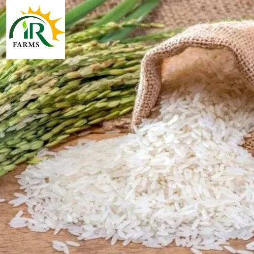 Hybrid Rice 205 F1 5kg Alike 86 Supri White Rachna Seeds Mungi Seed