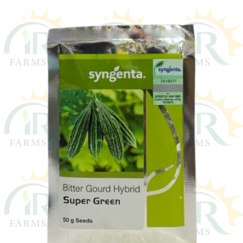 Bitter Gourd Hybrid Super Green 50GM Seeds Syngenta Pakistan IR Farm