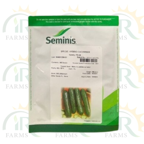 Hybrid Cucumber Ps 64 500seeds Seminis Seeds F1 Kheera Beej Origin Mexico IR Farm