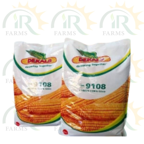 Dk 9108 Hybrid Corn Seed 10kg Monsanto Dekalb Bayer Maize Seeds Spring Corn ہایبریڈ بیج بہار یہ مکئی IR Farm