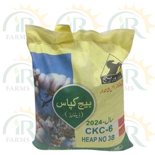 Ckc 6 Cotton Seed 5kg Cultivation || Pink Free Cotton Seed || Glyphosate Free Cotton Seed Punjab Seed Corporation Kappas Beej Kapas Ka Beej New Variety کاٹن سیڈ کپاس بیج IR Farm