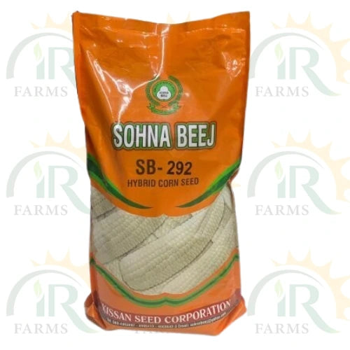 Sb 292 2kg White Hybrid Corn Seed White Moti 7000 Kernels Kissan Seed Corporation Sona Beej Sohna Beej white corn seed white maize seed