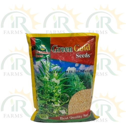 Niab Millenium Sesame seed 2kg Green gold seeds till Tilli beej IR Farm