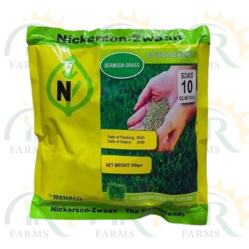 Bermuda Grass Seed 100gm Evergreen By Menaco Nickerson-zwaan The Netherlands To Sows 10 Sq Meters For Home Garden Lawn Grass