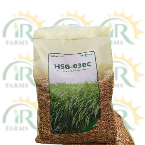 Hsg 035d Hybrid Sorghum Sudan Grass Seed - F1 10kg Multicut Jawar Fast Grass Certus Seed Kanzo Combagro Jumbo Max جوار کا بیج ملٹی کٹ