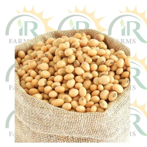 Soybean Seed 5kg Golden Beans Or Golden Seeds Narc - 2 Oil Crop سویا بین کے بیج Soya Bean seed