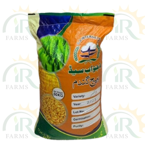 Akbar 19 Wheat 50kg La-jawab Seed G A Seed Distributor Alnoor Agro IR Farm