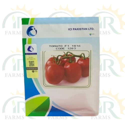 Tomato F1 1416 Code 1203 Hybrid Seed 3000 Seeds Pack Indeterminate Tomato Plant Lci Lucky Core Industries ( Ici Pakistan ) Climbing Plant Bail Wala Tomato Seed IR Farm