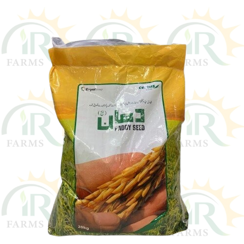 NIBGE 5, NIBGE 6, NIBGE BASMATI 2020 5kg , Rice Seed Paddy Seed, For Early Sowing Beej Munji Chawal ( part of 20kg bag ), EVYOL IR Farm