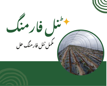 IR Farm | Best Online Agriculture Store In Pakistan