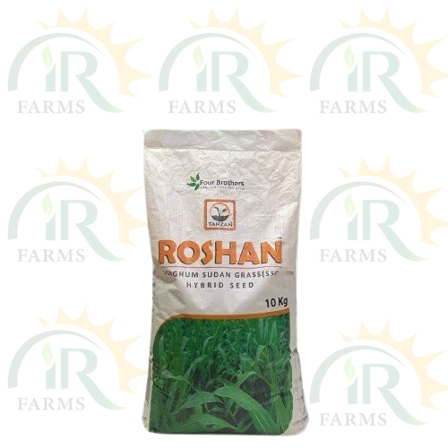 Jawar Roshan 10kg Sorghum Sudan Grass with more leafs and proteins for animals Fourbrothers Tarzan IR Farm